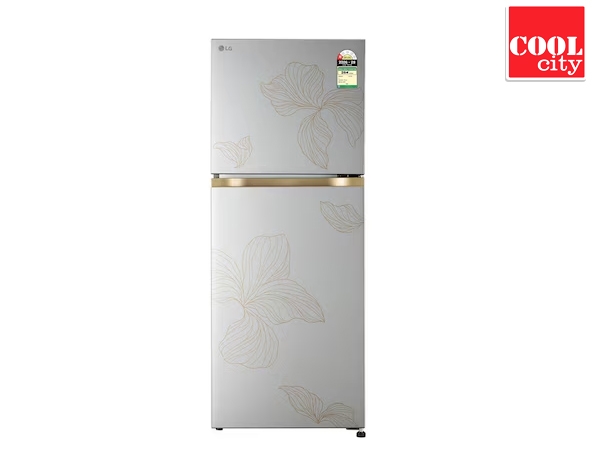 LG - 225 LTR - 1 STAR - GLT2216WYRI.DRIZEBN